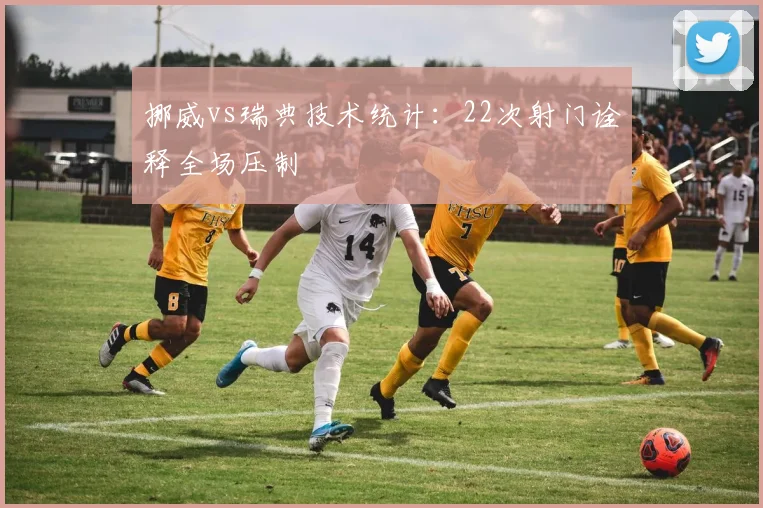 挪威vs瑞典技术统计：22次射门诠释全场压制